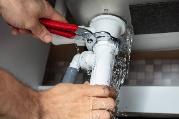 Best 24/7 water damage repair  in Monongah, WV