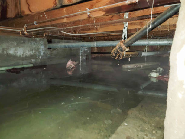 Best Emergency water damage restoration  in Monongah, WV