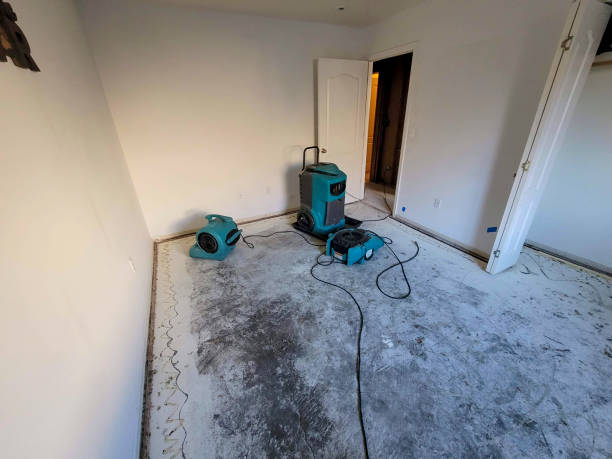 Best Water damage restoration company  in Monongah, WV