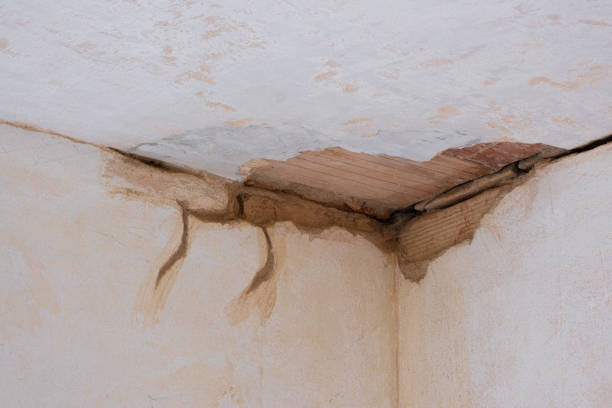 Best Water damage restoration near me  in Monongah, WV