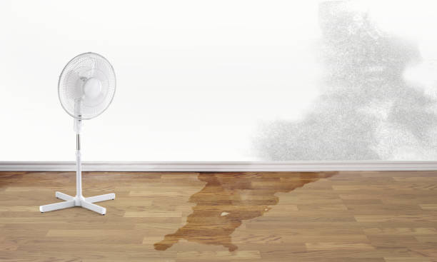 Best Residential water damage restoration  in Monongah, WV