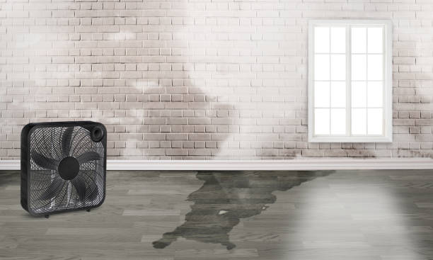 Carpet water damage restoration in Monongah, WV