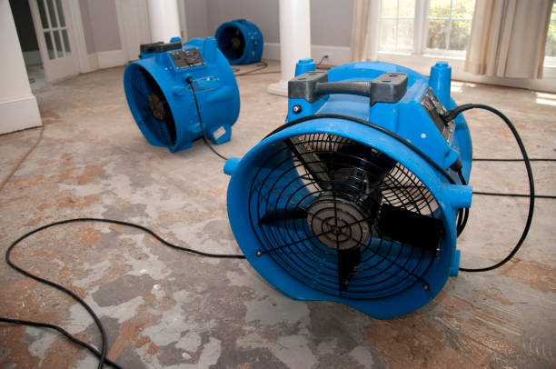 Best Water damage restoration near me  in Monongah, WV
