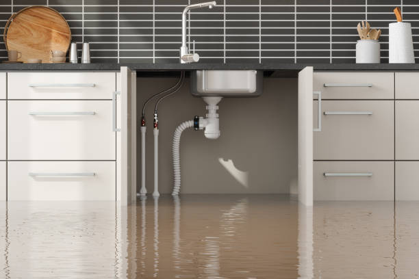 Best Water damage restoration near me  in Monongah, WV