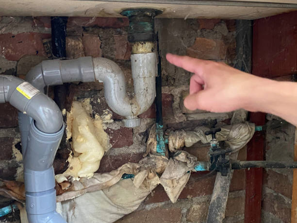 Best Basement water damage restoration  in Monongah, WV